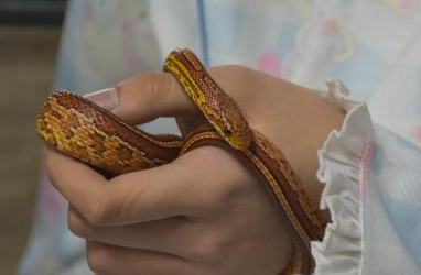 ??? ?????? ????? ?????? ?????? ???? ?? ????????