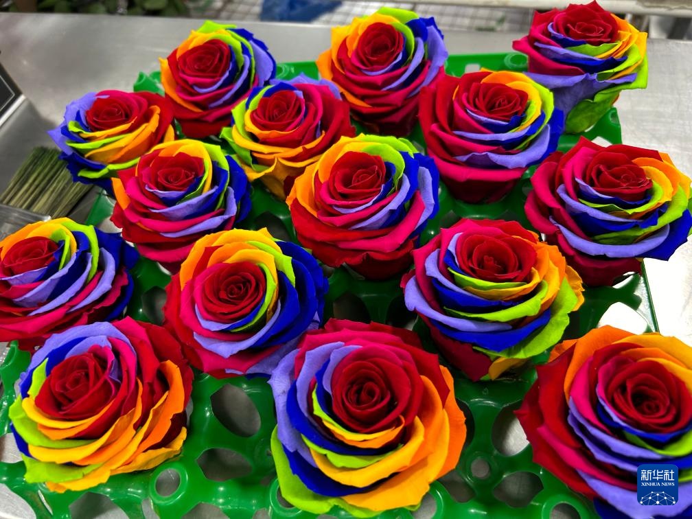 ???? ????????? ???? ?????? ?? ??? ??? ???? ???????