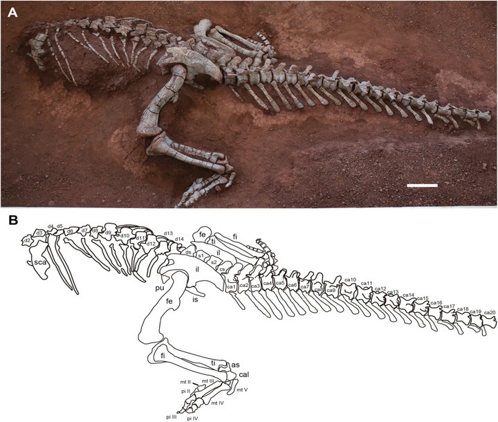 ????? ?????? ?????? ???? ????? ?? ??????????? ???? ??? ????? ???????? ??????