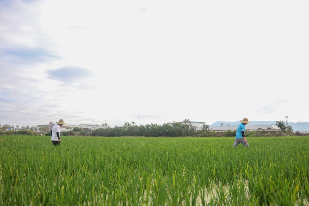 ??????: ????? ????? ?? ??????? ??????? ?????? ?????