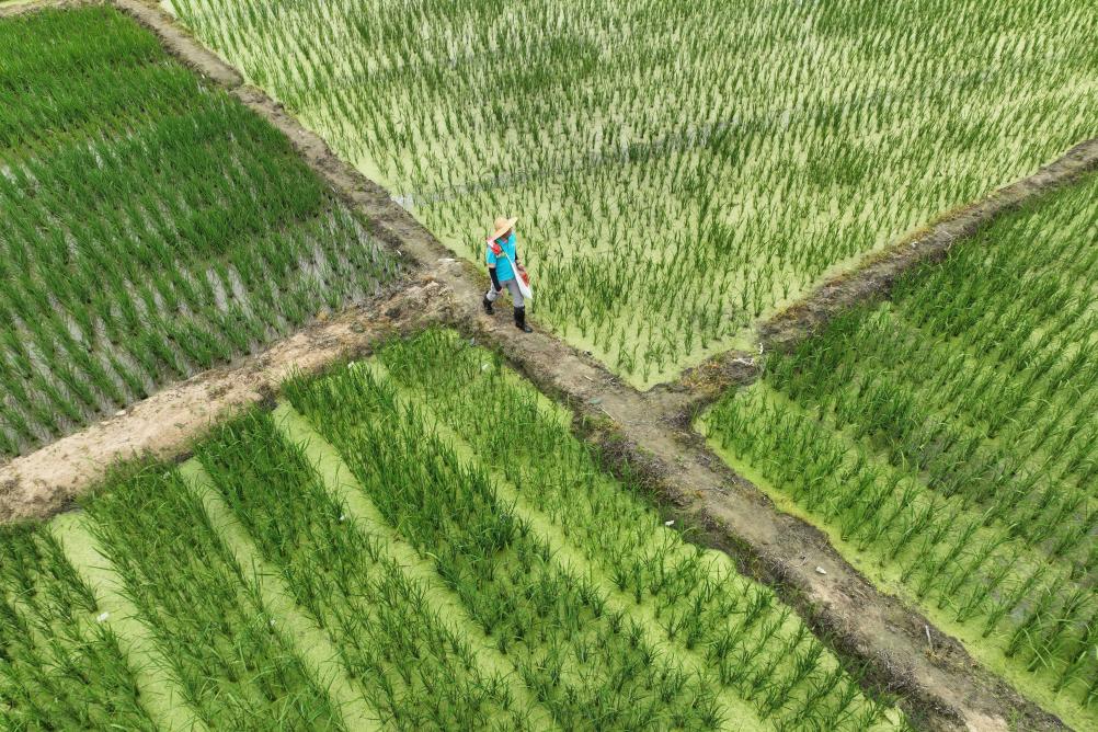 ??????: ????? ????? ?? ??????? ??????? ?????? ?????