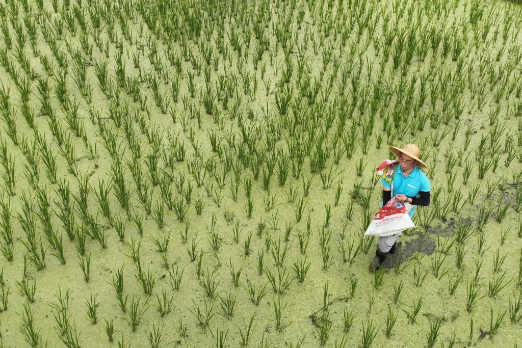 ??????: ????? ????? ?? ??????? ??????? ?????? ?????