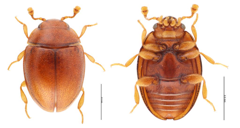 ?????? ??? ???? ?? ??????? ?? ??????? ?????? ??????? ?????? ?????