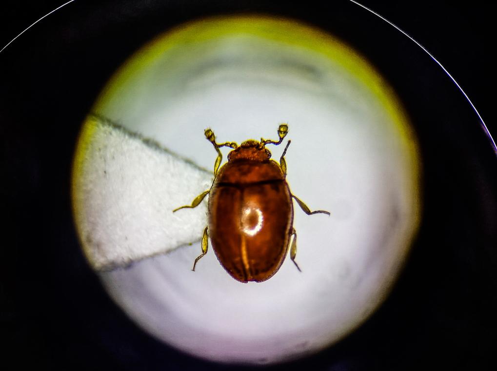 ?????? ??? ???? ?? ??????? ?? ??????? ?????? ??????? ?????? ?????