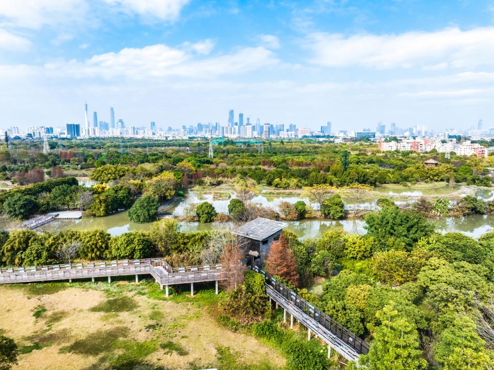 ?????? ??? ???? ?? ??????? ?? ??????? ?????? ??????? ?????? ?????