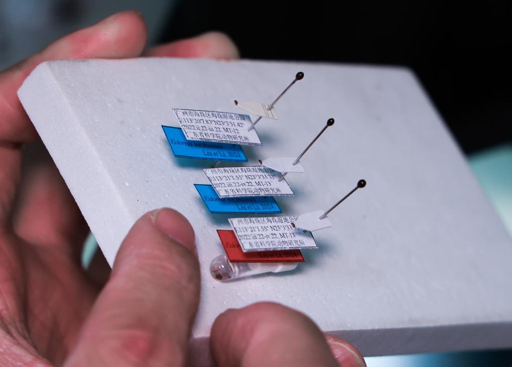 ?????? ??? ???? ?? ??????? ?? ??????? ?????? ??????? ?????? ?????