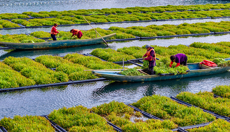 ??????? ???????: ????? ???????? ??? ??????? ?????? ?? ???? ???? ??????