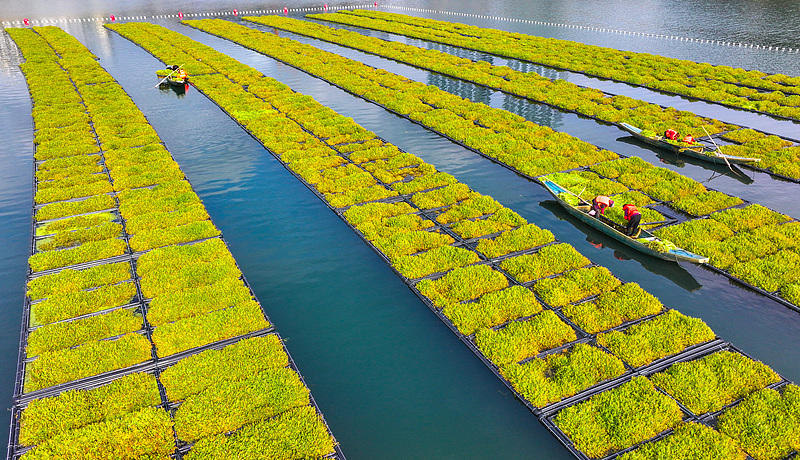 ??????? ???????: ????? ???????? ??? ??????? ?????? ?? ???? ???? ??????