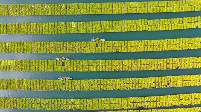 ??????? ???????: ????? ???????? ??? ??????? ?????? ?? ???? ???? ??????