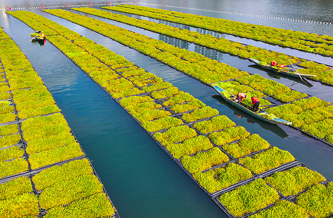 ??????? ???????: ????? ???????? ??? ??????? ?????? ?? ???? ???? ??????