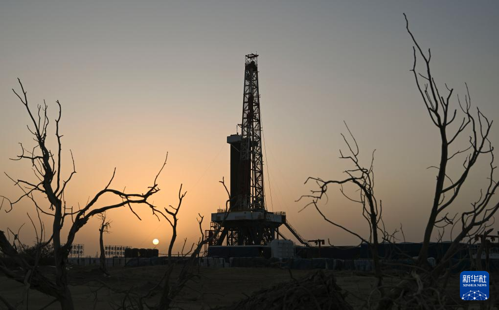 ????? ?? ???? ??????? ?? ?????? .. ????? ???? ?? ??? ??? ????????? ?????? ???? ???? ?? 10 ???? ???