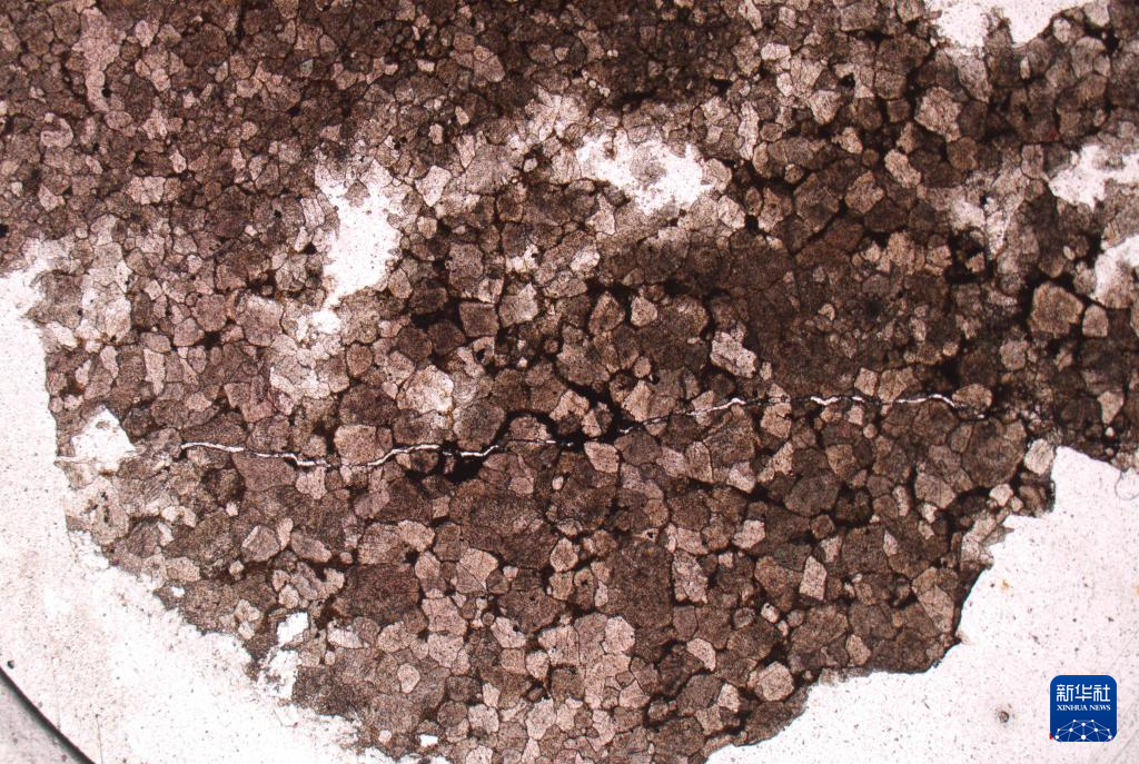 ????? ?? ???? ??????? ?? ?????? .. ????? ???? ?? ??? ??? ????????? ?????? ???? ???? ?? 10 ???? ???