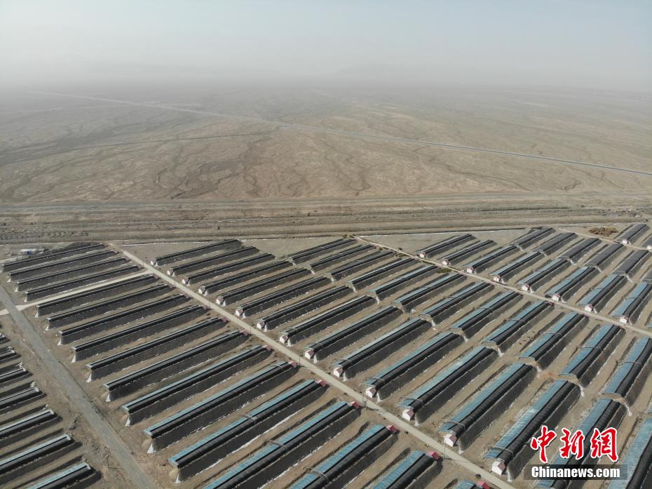 ????????? ???? ?????? ????? ???? ??? ??????? ????????