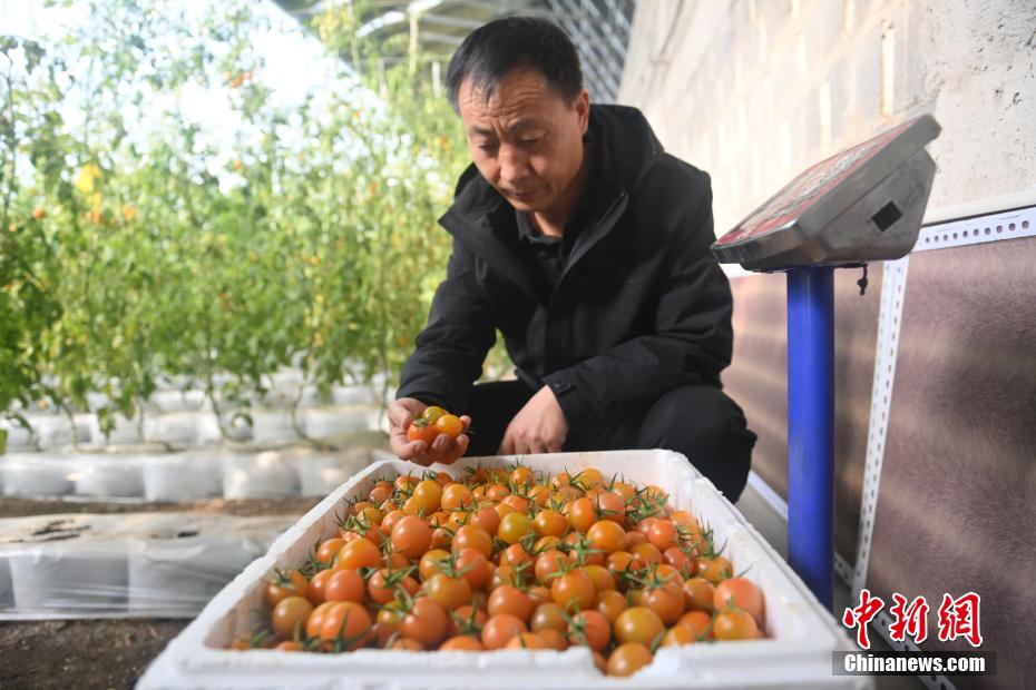 ????????? ???? ?????? ????? ???? ??? ??????? ????????