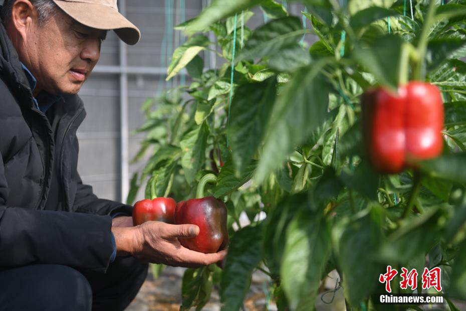 ????????? ???? ?????? ????? ???? ??? ??????? ????????