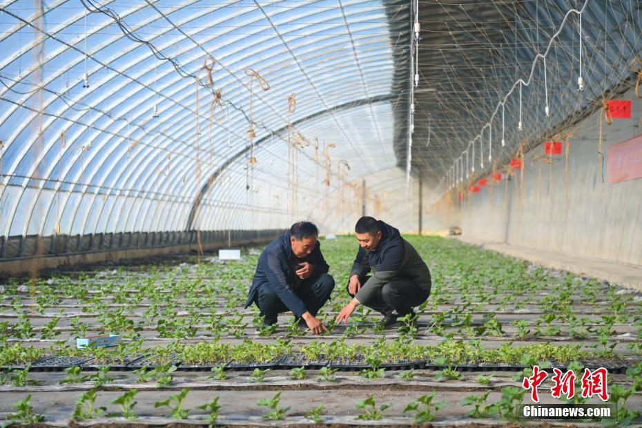 ????? ??????? ??????? ??? ????? ????????.