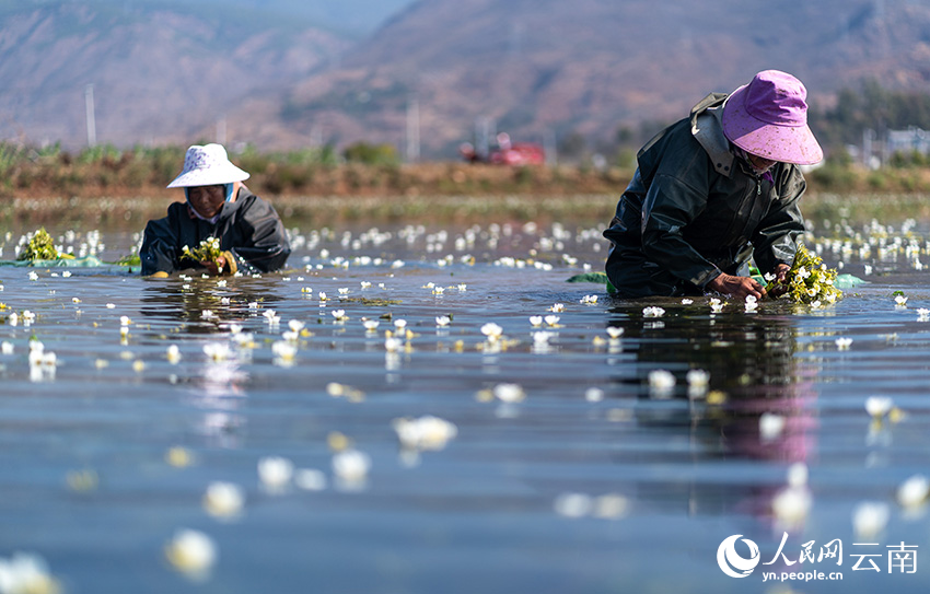 ?? ??????? ???????? ???????? ???? ???? ????? ????? ????? ?????? ?????? ?????