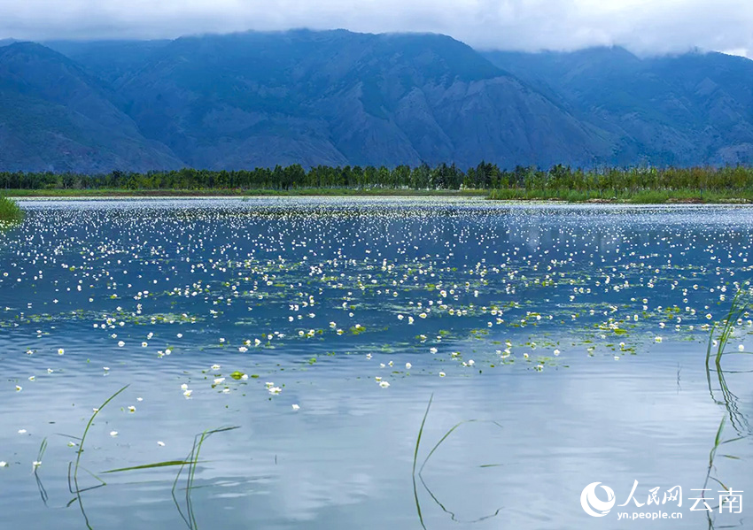 ?? ??????? ???????? ???????? ???? ???? ????? ????? ????? ?????? ?????? ?????