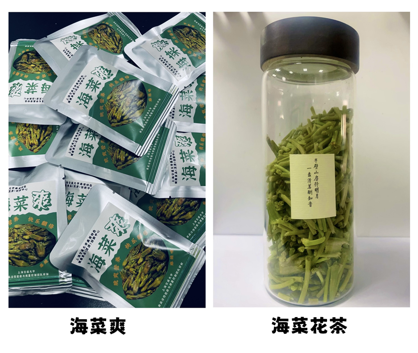 ?? ??????? ???????? ???????? ???? ???? ????? ????? ????? ?????? ?????? ?????