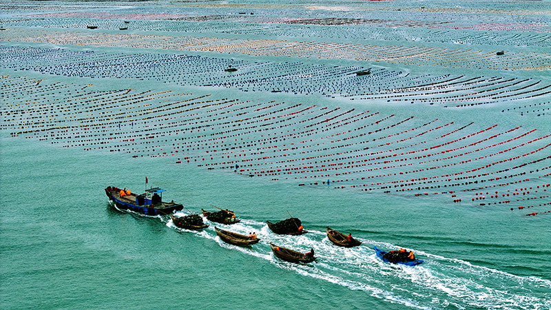 ??? 1.4 ??????? ????? ??????... ???????? ?????? ?? ????? ???? ???? ?????? ?? ??? 2024