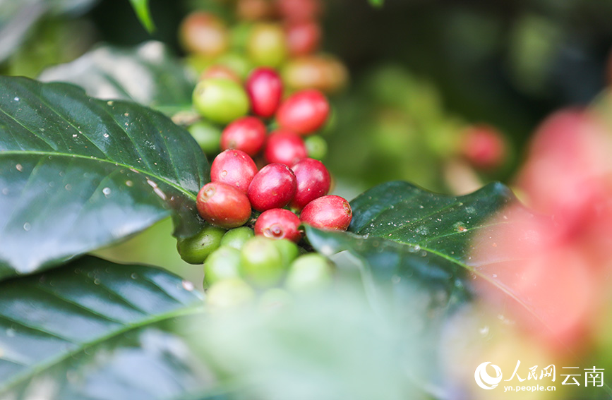 ????? ?????? ????? ?????? ???? ????? ????? ??????