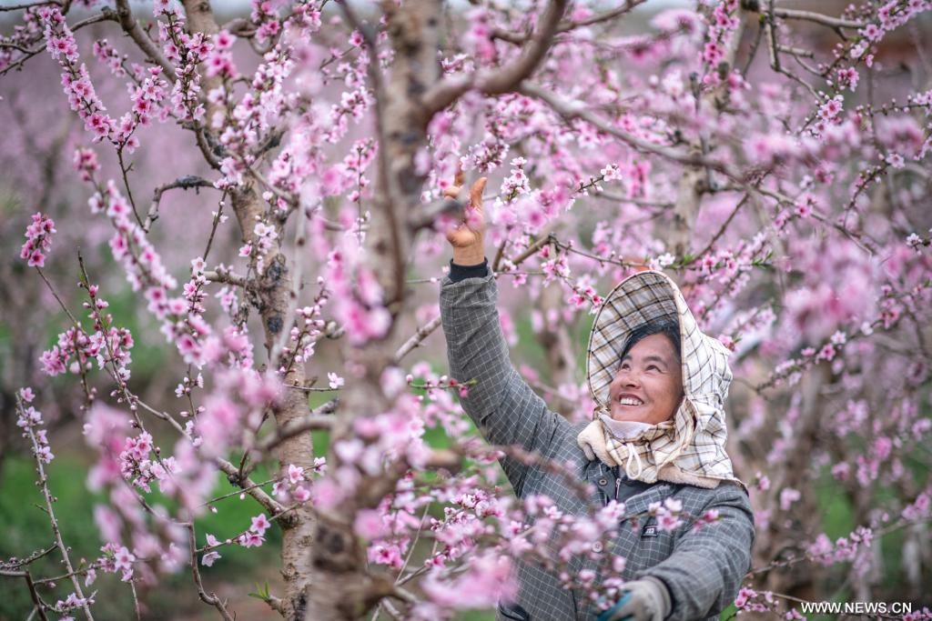 ????? ??????? ???????? ?? ????? ?????