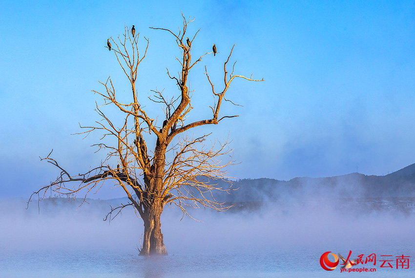 ??????: ?????? ???????? ???