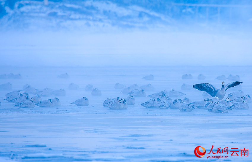 ??????: ?????? ???????? ???