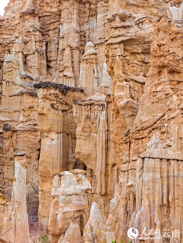 ????? ?????? ???? ????? ????? ????? ???????