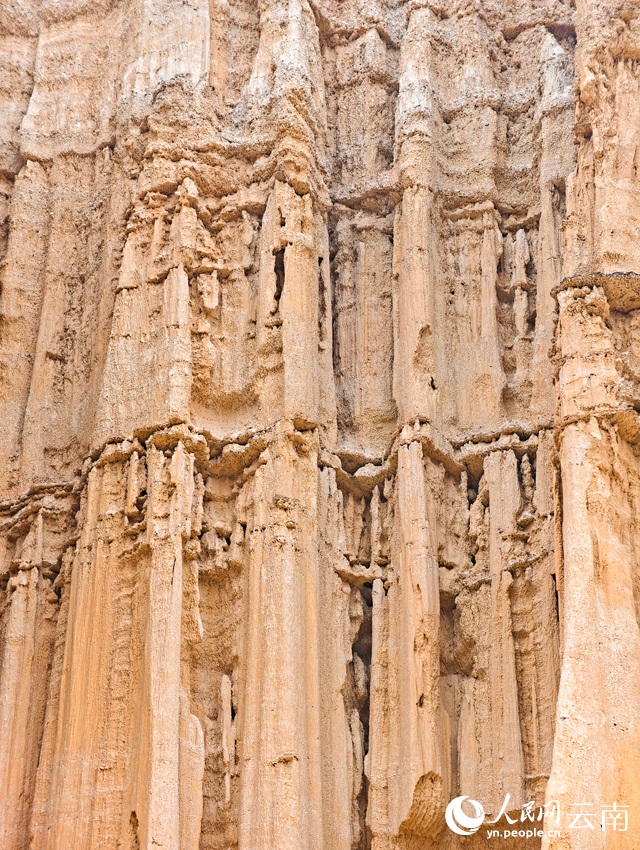 ????? ?????? ???? ????? ????? ????? ???????