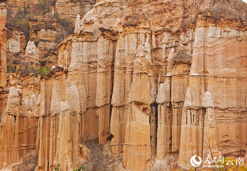 ????? ?????? ???? ????? ????? ????? ???????