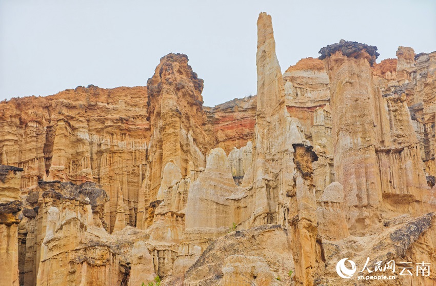 ????? ?????? ???? ????? ????? ????? ???????