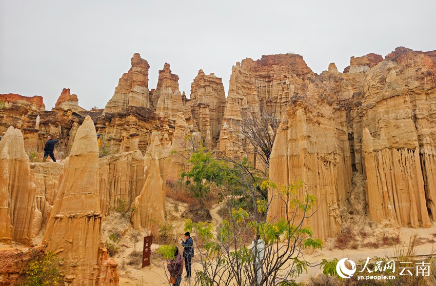 ????? ?????? ???? ????? ????? ????? ???????