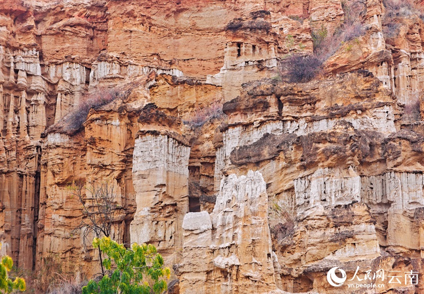 ????? ?????? ???? ????? ????? ????? ???????