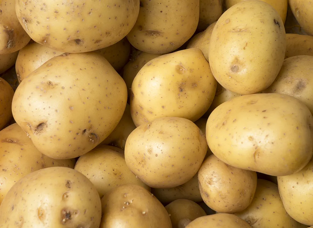 ??? ???????? ?? ???? ??? ?????? ???? ??????