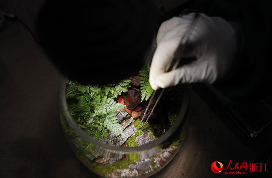 ?? ?????? ??????? ??????? ???? ????? ?????