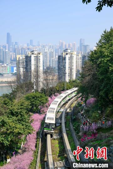 ?? ??????????? ???? ?????? ????? ??? ????? ???????