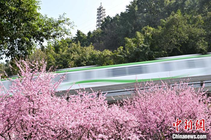 ?? ??????????? ???? ?????? ????? ??? ????? ???????