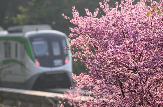 ?? ??????????? ???? ?????? ????? ??? ????? ???????