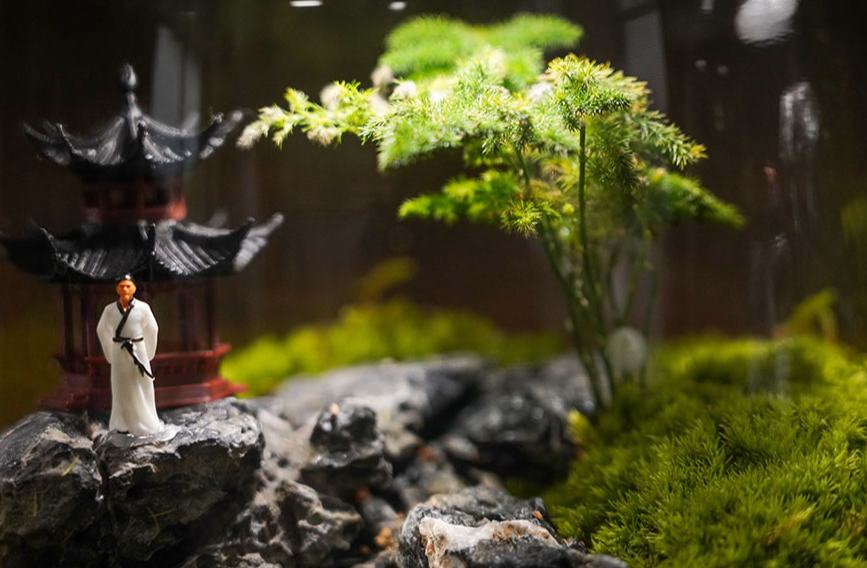 ?? ?????? ??????? ??????? ???? ????? ?????