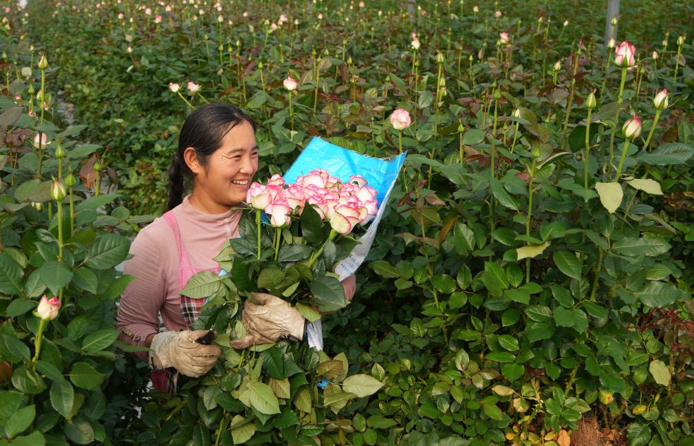 ??????: ????? ????? ????? ?? ???? ?????