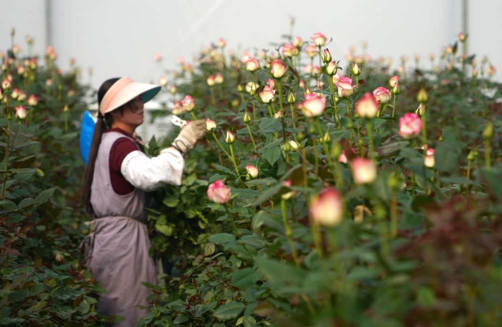 ??????: ????? ????? ????? ?? ???? ?????