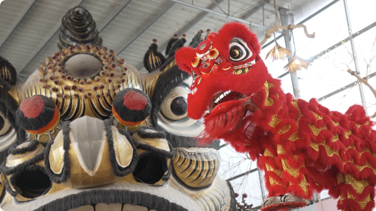 ???? ????? ??? ??????? ??????? ??? ????? ??? ??????? ????