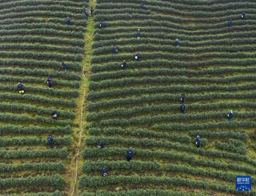 ????? ????? ?? ?????? ???? ??????