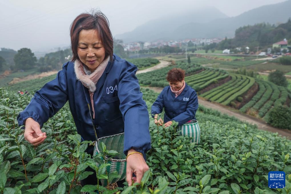 ????? ????? ?? ?????? ???? ??????