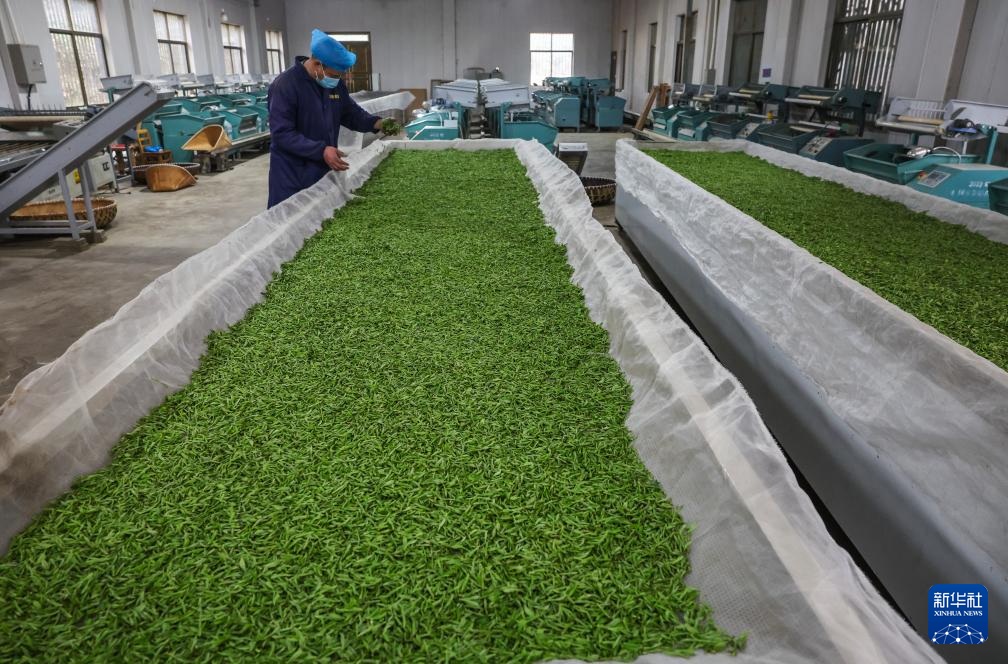 ????? ????? ?? ?????? ???? ??????