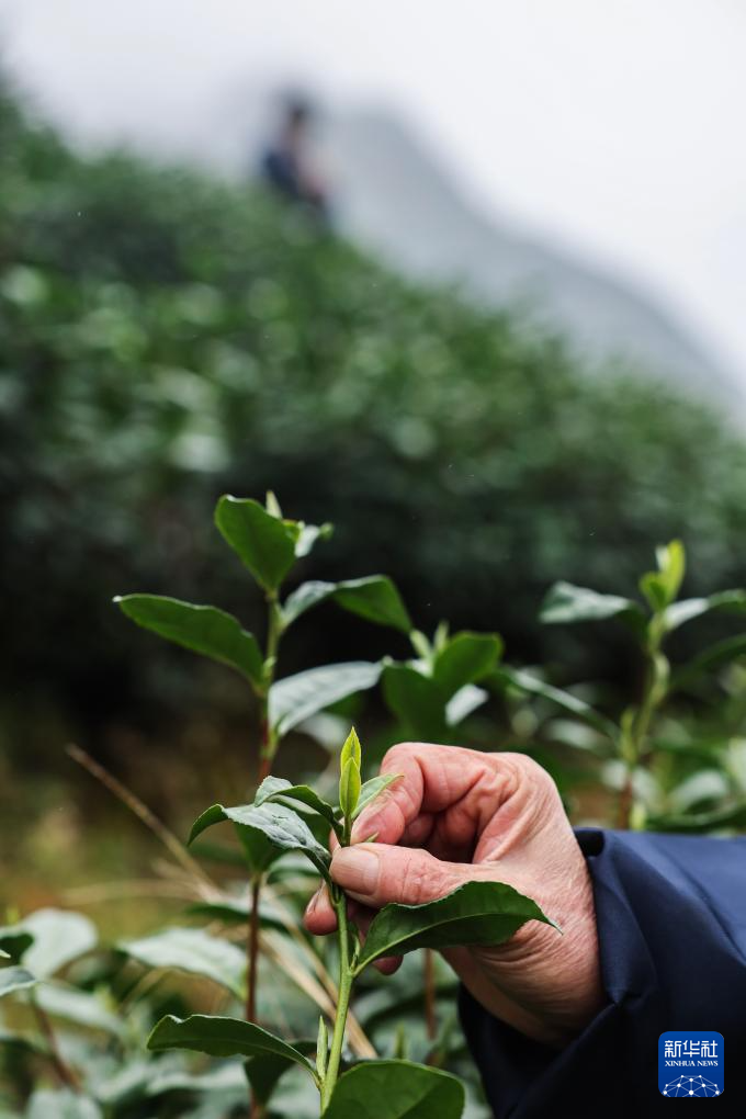 ????? ????? ?? ?????? ???? ??????