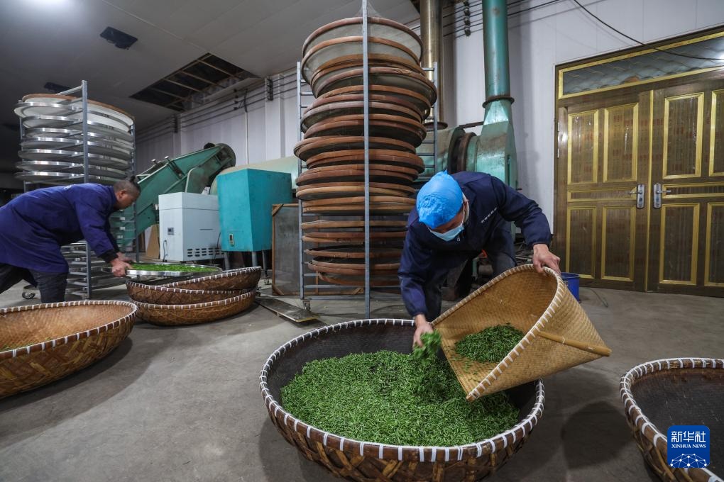 ????? ????? ?? ?????? ???? ??????