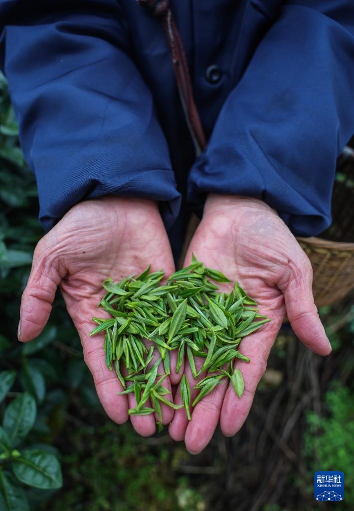 ????? ????? ?? ?????? ???? ??????