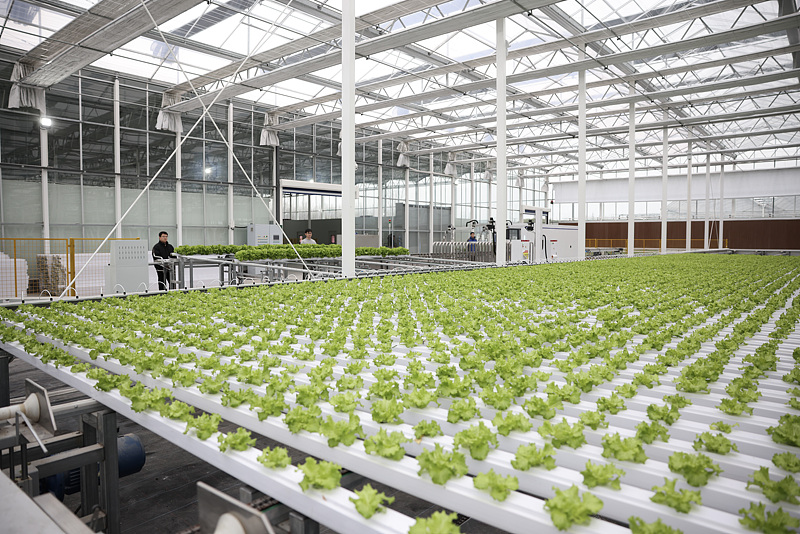 ????? ??? ???? ????? ????? ???????? ?? ???????